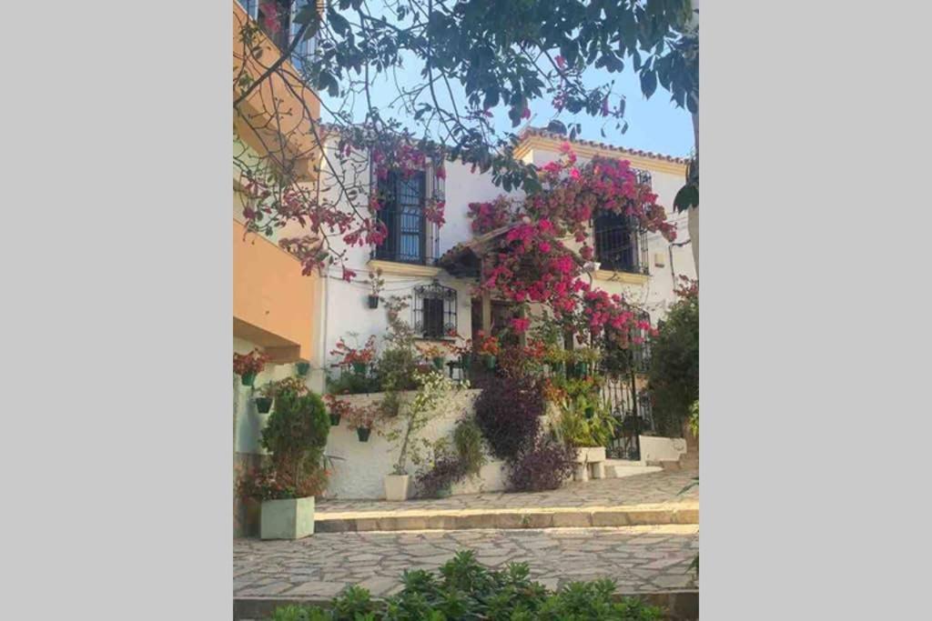 Appartement Palmeras Puerto Paraiso Estepona Exterior foto